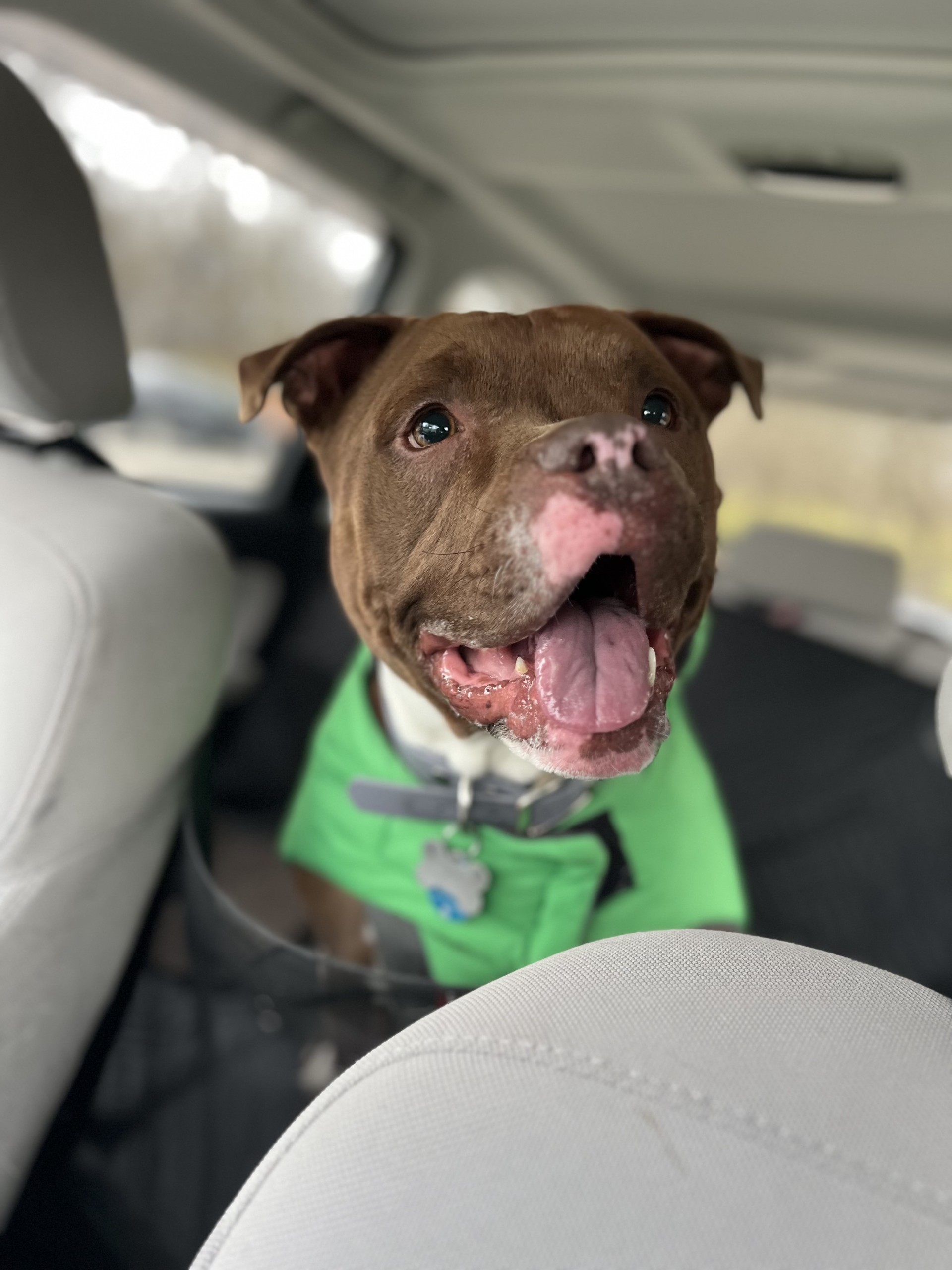 1f4e7692-04d6-4e74-8e17-2eca306dc71d