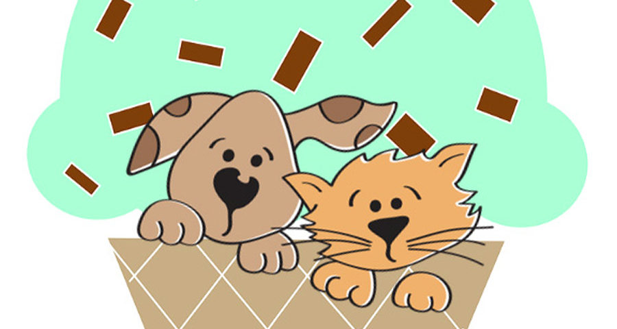 2017 PIN Community Ice Cream Social