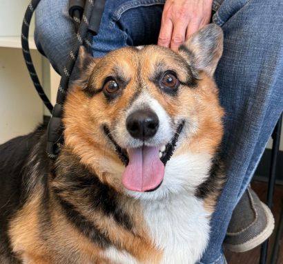 Screenshot 2025-08-04 at 3.01.23 PM