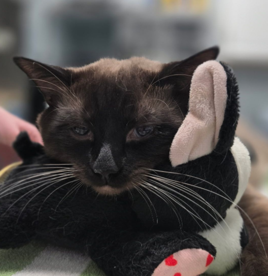 Screenshot 2026-01-06 at 1.48.34 PM