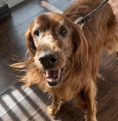 Screenshot 2026-04-07 at 12.12.43 PM