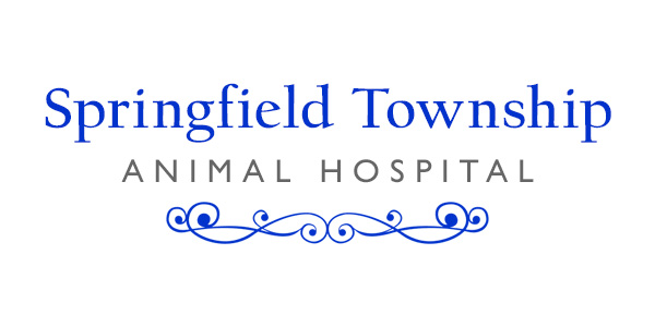 logo-springfield-township-ac logo-springfield-township-ac
